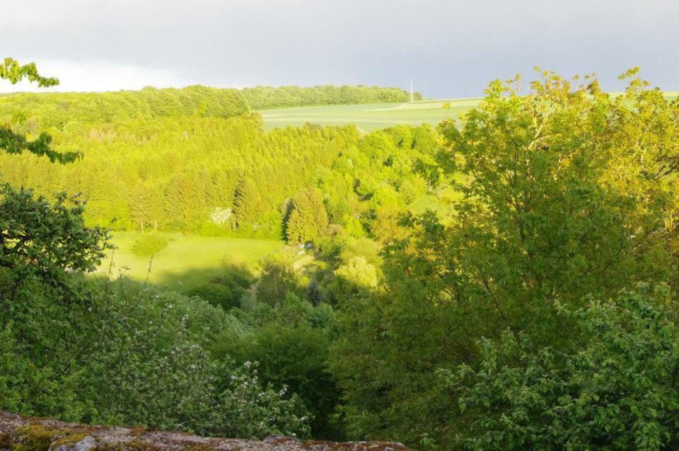 B&B Chez Fouchs - Chambre D'Hotes Dun-sur-Meuse Esterno foto