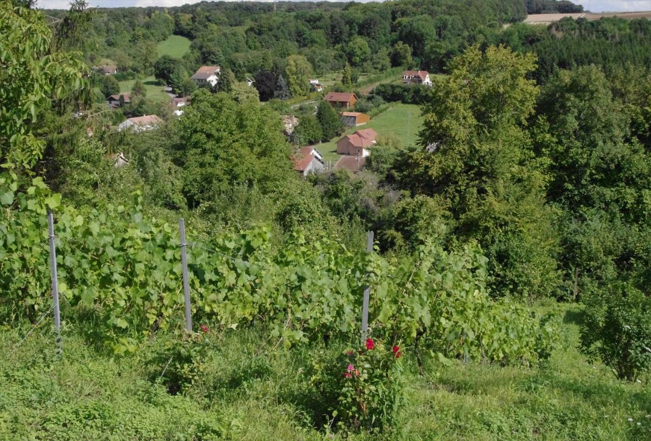 B&B Chez Fouchs - Chambre D'Hotes Dun-sur-Meuse Esterno foto